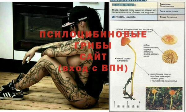 марки nbome Алзамай