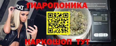 спайс Гагарин