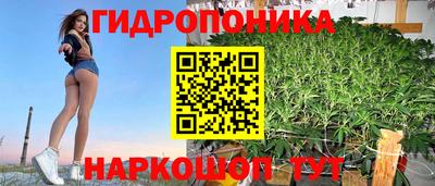 спайс Гагарин