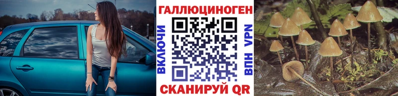 Галлюциногенные грибы Cubensis  Ишим 