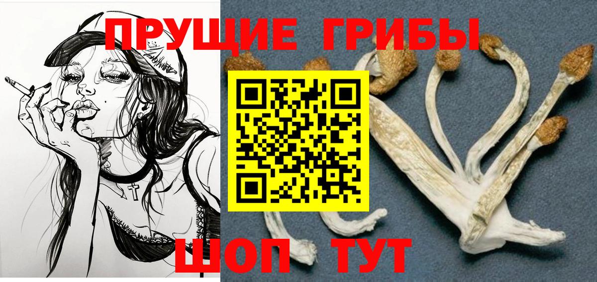 Галлюциногенные грибы Cubensis Ишим