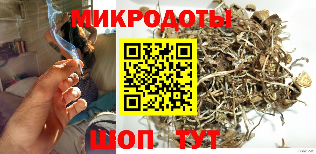 Ишим  где найти   Вход с VPN  Галлюциногенные грибы Psilocybe 